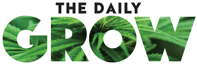 daily grow logo