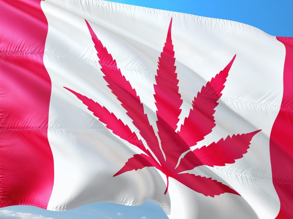 Image for Canada Marketing and Advertising Talent Flocking to Cannabis Brands
